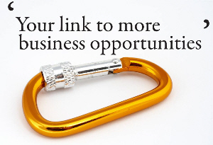 Creating business links